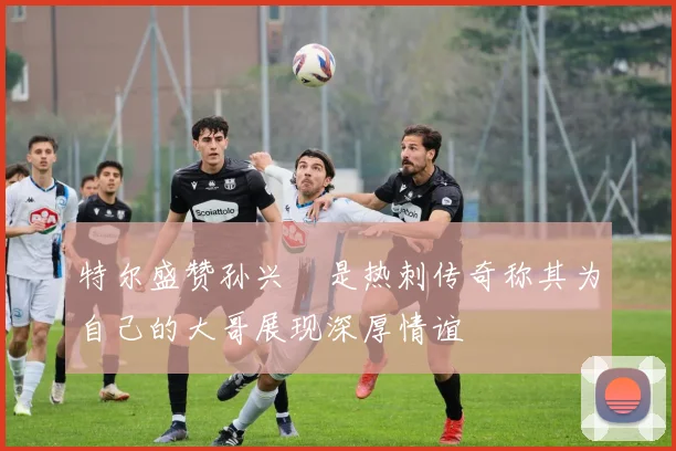 特尔盛赞孙兴慜是热刺传奇称其为自己的大哥展现深厚情谊