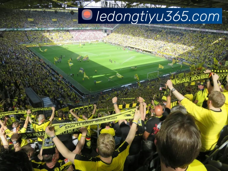 乐动体育APP 高清赛事图